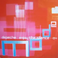 Enjoy The Silence 2004