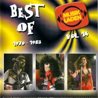 Rockin' Pneumonia And The Boogie Woogie Flu