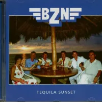 Dance In The Moonlight