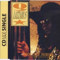 Goodbye Horses