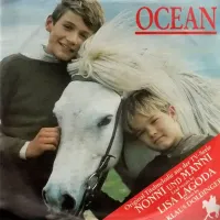 Ocean
