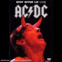 You Shook Me All Night Long