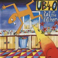 Rat In Mi Kitchen