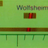 The Sparrows And The Nightingales