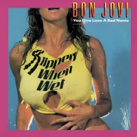 You Give Love A Bad Name