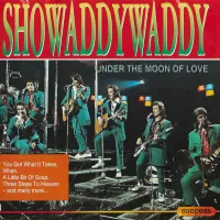 Pretty Little Angel Eyes