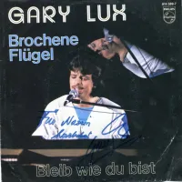 Brochene Flügel