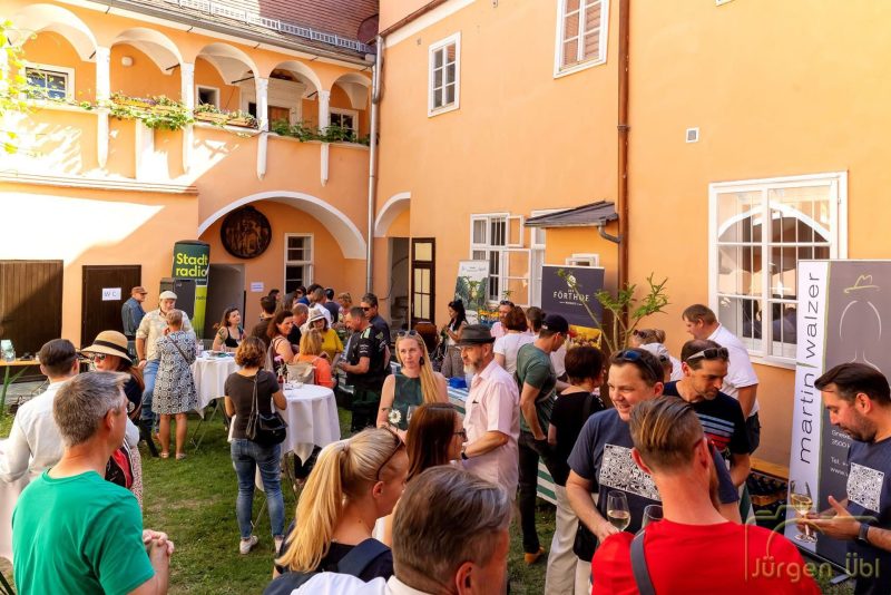 Wein, Beats und Kaiserwetter: Grandiose Premiere von „Beats & Reben“ in Krems!